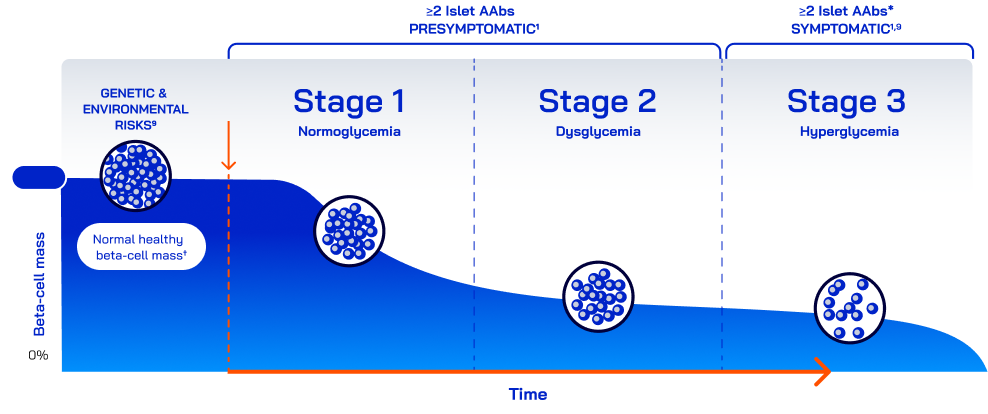 A chart showing the three stages of Type 1 Diabetes