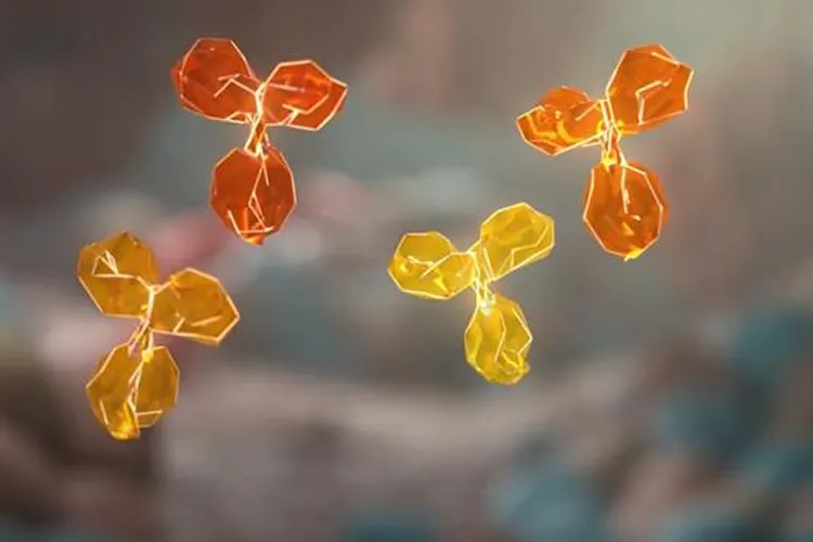 Autoantibodies