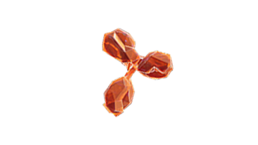 An IAA autoantibody