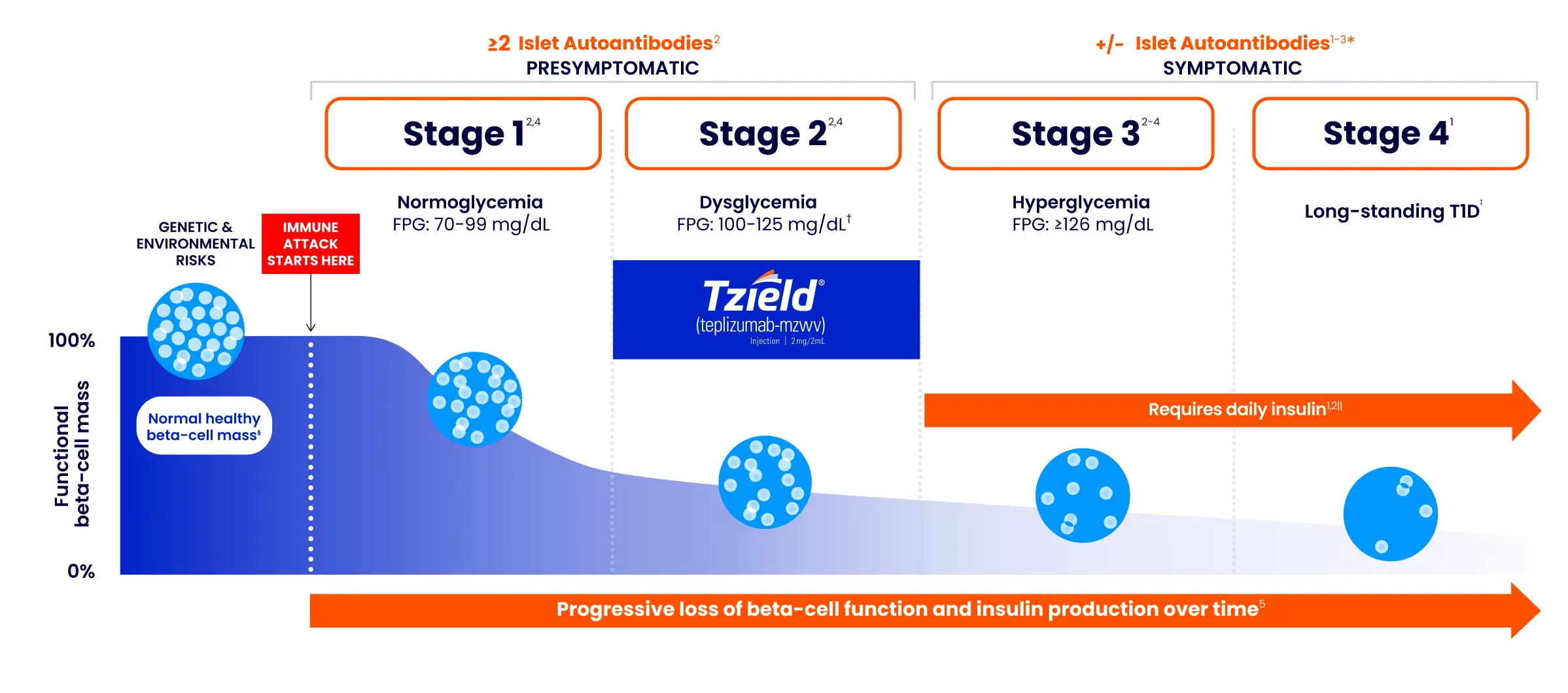 The four stages of Type 1 Diabetes (T1D)