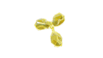 A GADA autoantibody